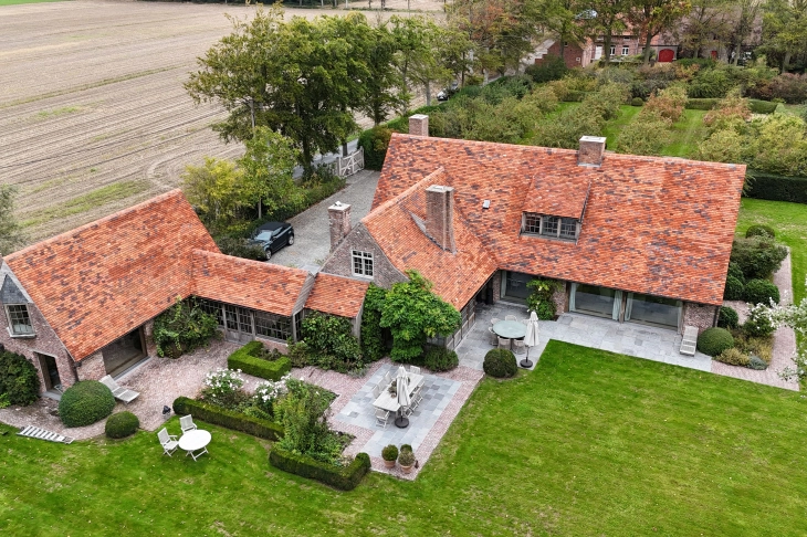 Dak ontmossen Brugge