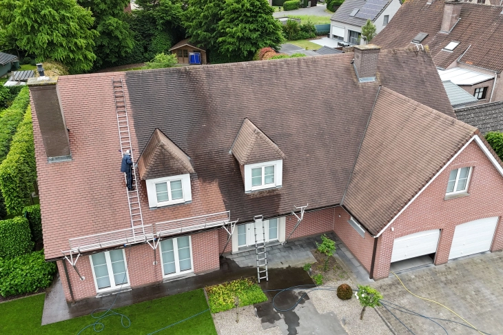 Dak ontmossen Harelbeke