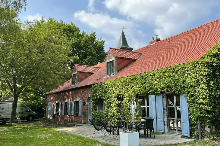 Dak ontmossen Antwerpen
