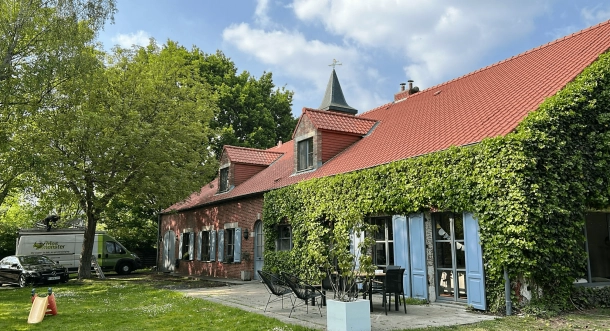 Dak ontmossen Antwerpen
