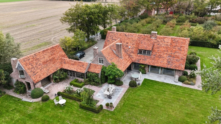 Dak ontmossen Brugge