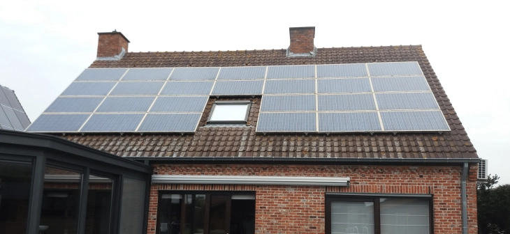 Dakontmossing Lichtervelde