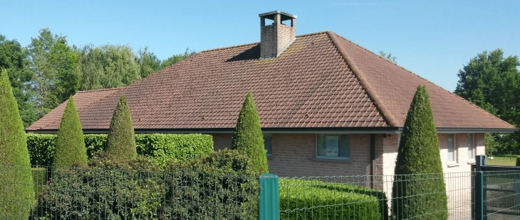 Dakontmossing Zonnebeke