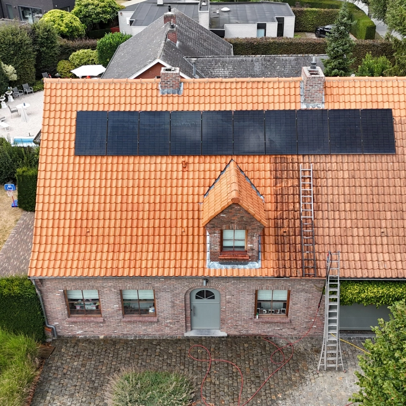 Dakontmossing Harelbeke