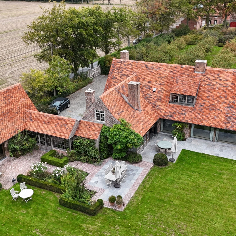 Dak ontmossen Brugge