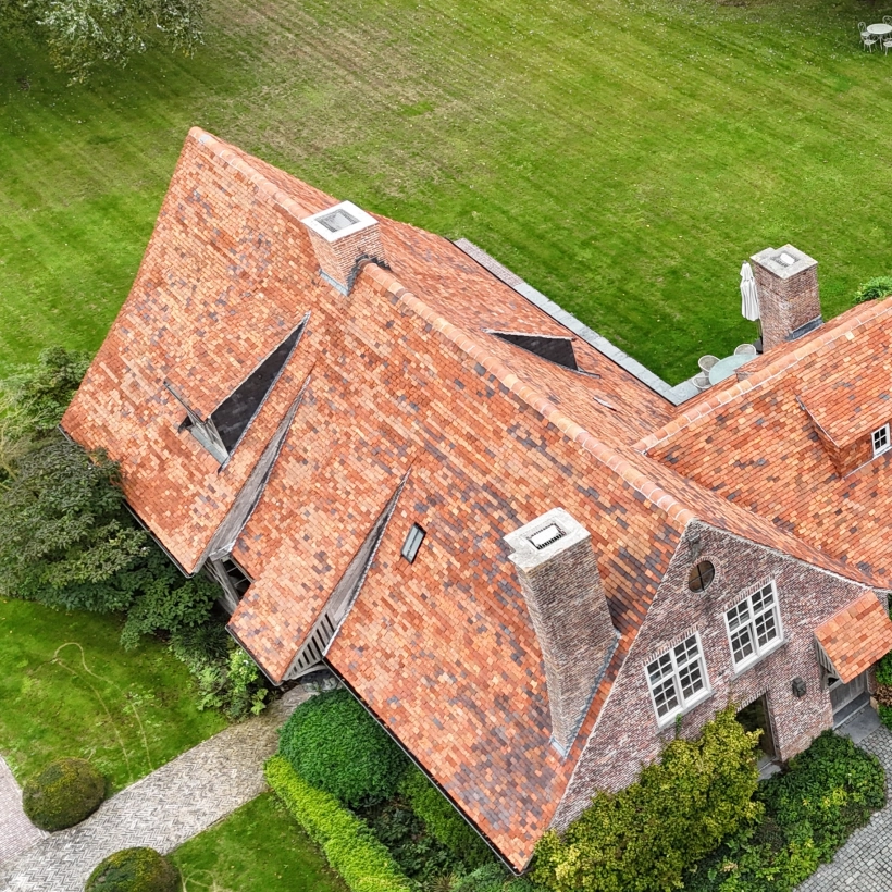 dak ontmossen west vlaanderen