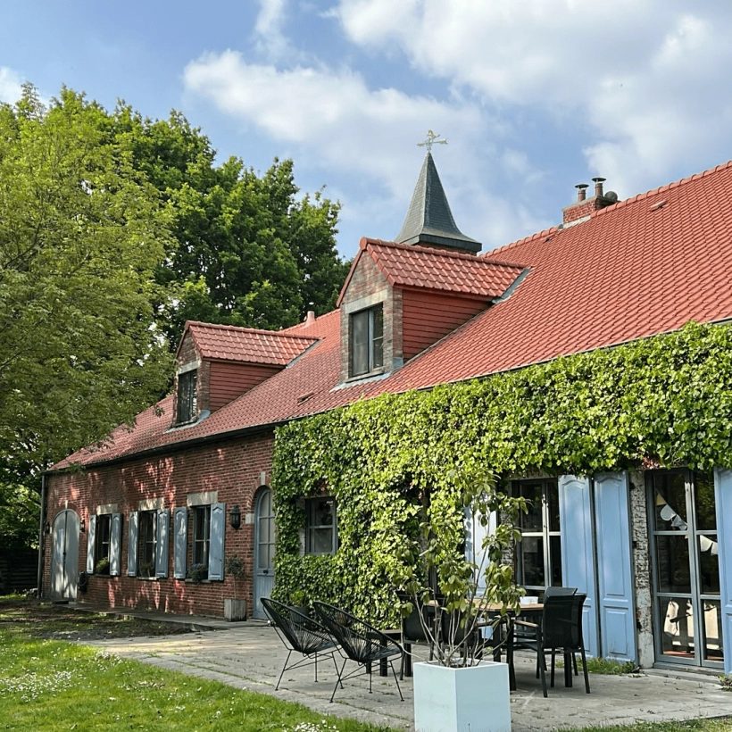 Dak ontmossen Antwerpen
