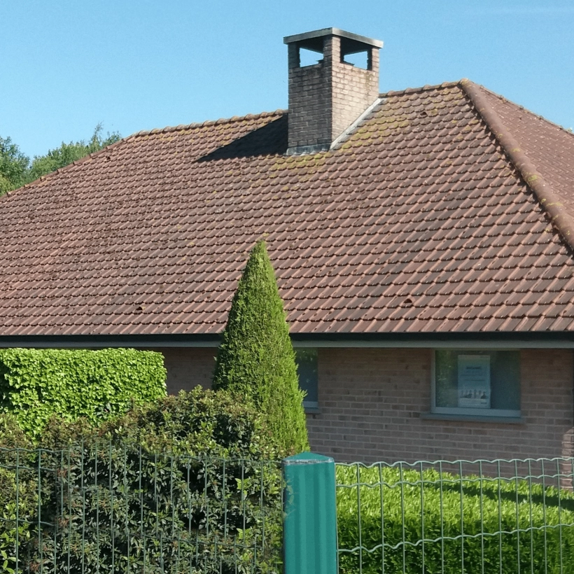 Dakontmossing Zonnebeke